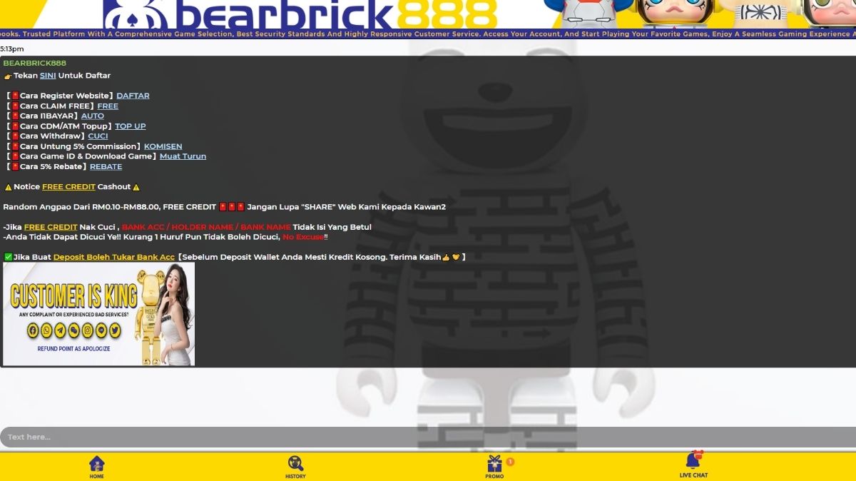 Bearbrick888 - 247 Customer Support - Bearbrick8888