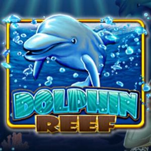 Bearbrick888 - Bearbrick888 Top 10 Slot Games - Dolphin Reef - Bearbrick8888