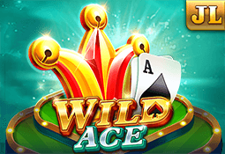 Bearbrick888 - Games - Wild Ace